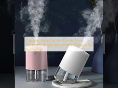 Cheaper Price Car Air Purifier  Mini Ultrasonic Angle Adjustment Oblique Air Humidifier