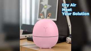 Quiet USB Humidifier for Dry Air