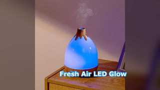 Humidifier Diffuser Purifier LED Lamp