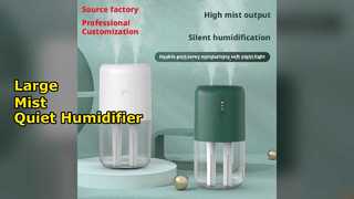 Dual Jet Humidifier Large Mist Quiet Home Car USB