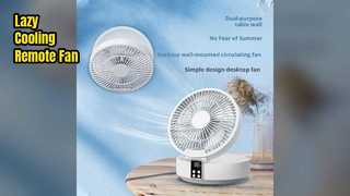 Lazy Cooling Fan Remote Spray Battery Powered