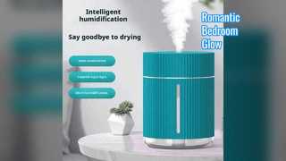 Cozy Bedroom Humidifier Ambient Light